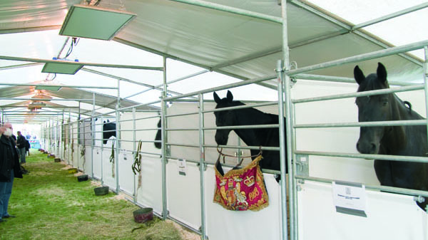IR panels stables horses